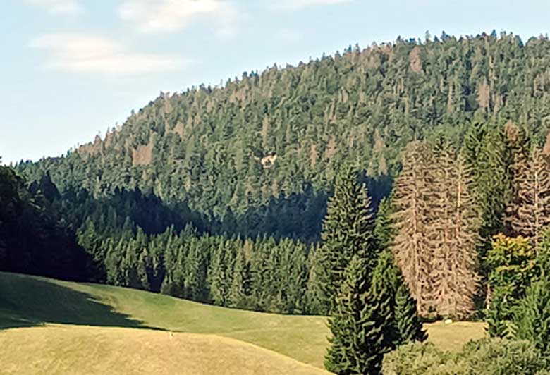 Auberge du Lac Genin